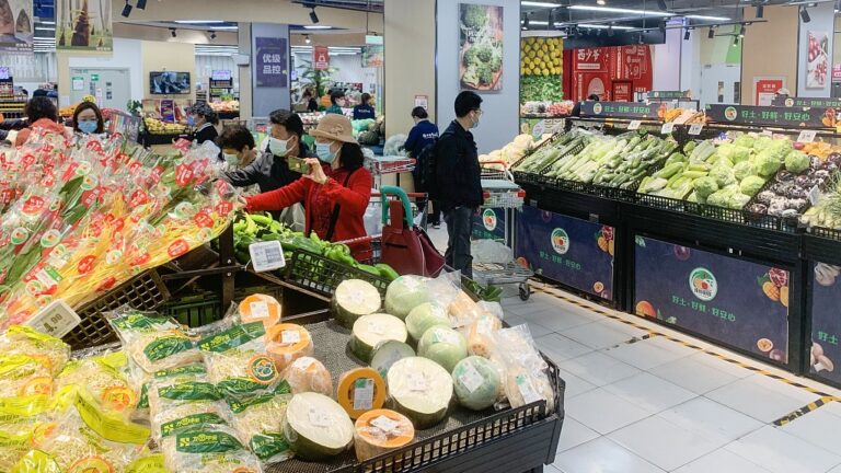 China’s Export Slows in August as US Tariffs and Trade Bite 
